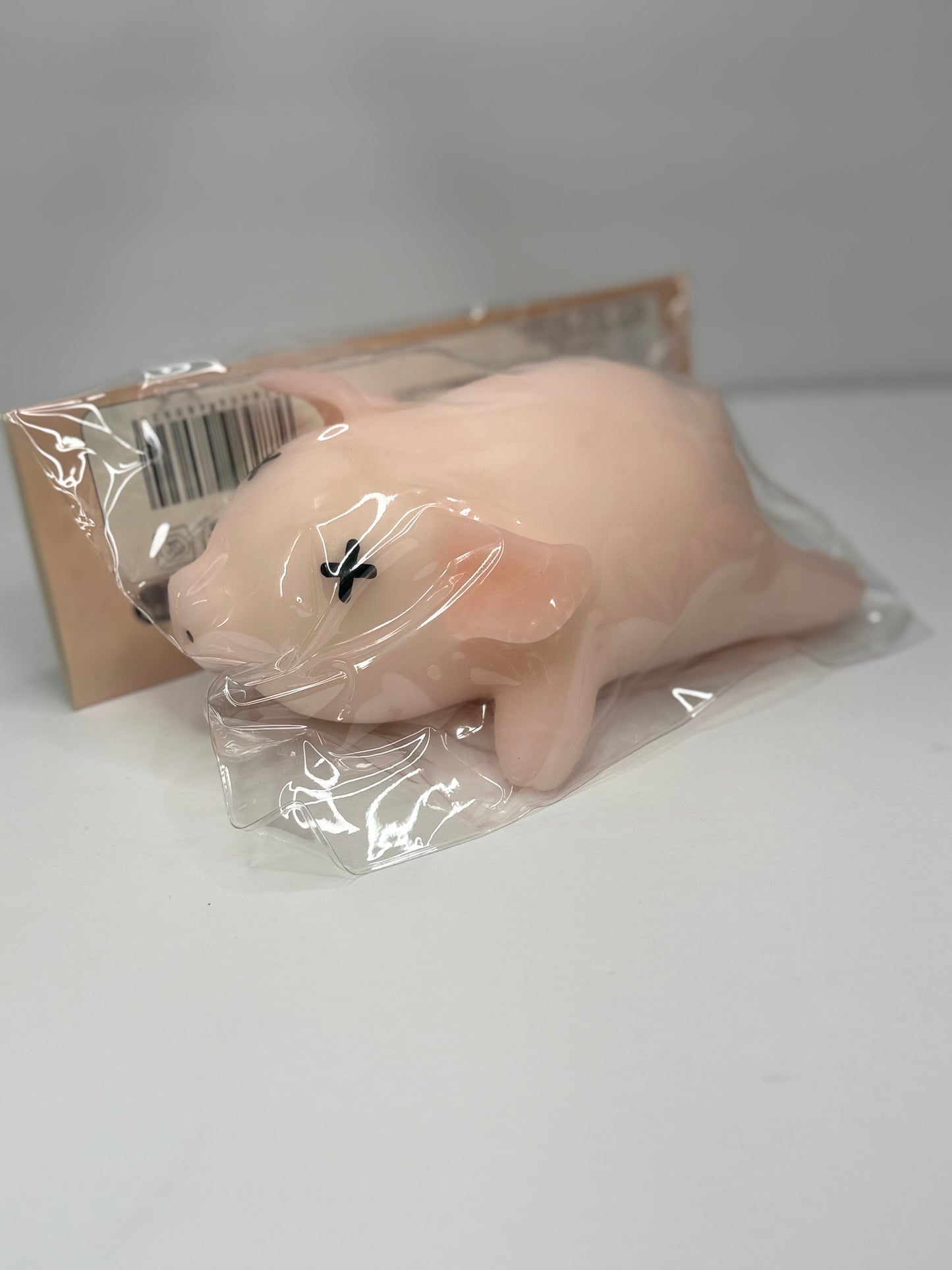 Roasted piggy squishy 