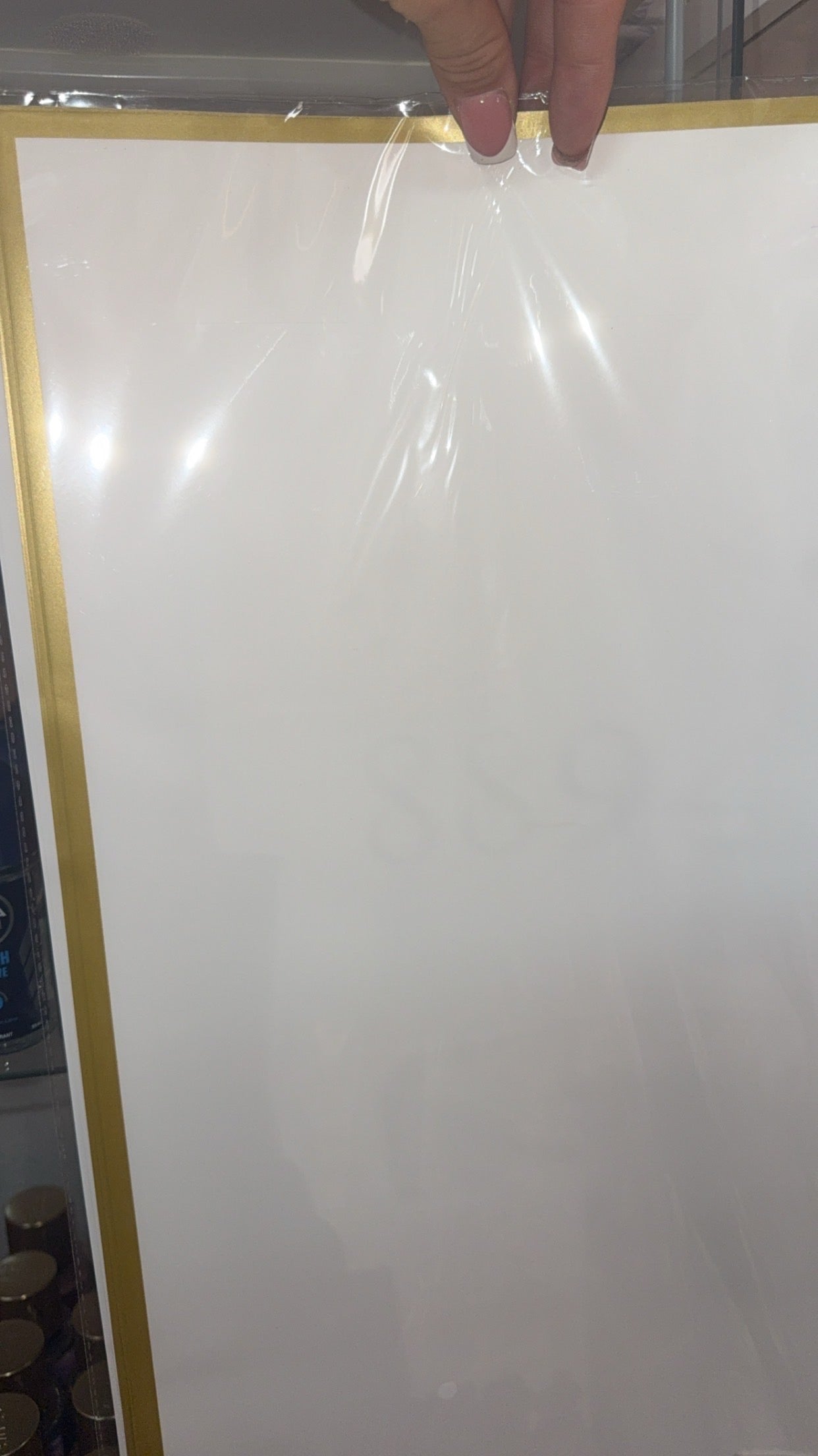 White with Gold Trim Flower Paper