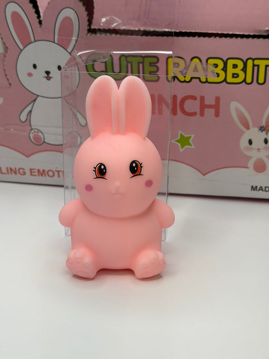 Pink Bunny Squishy in Clear Box