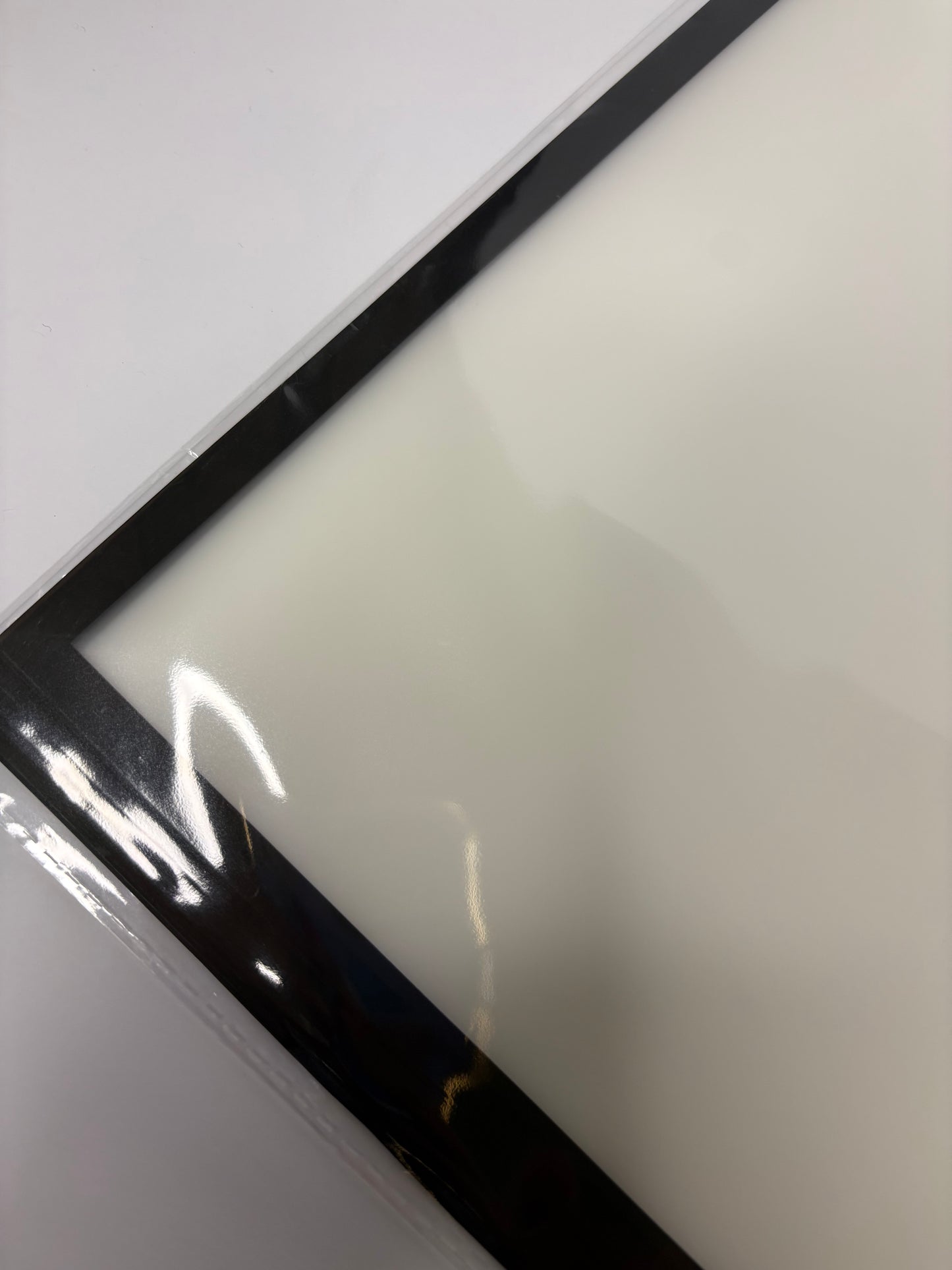 Clear W Black Trim Floral Paper