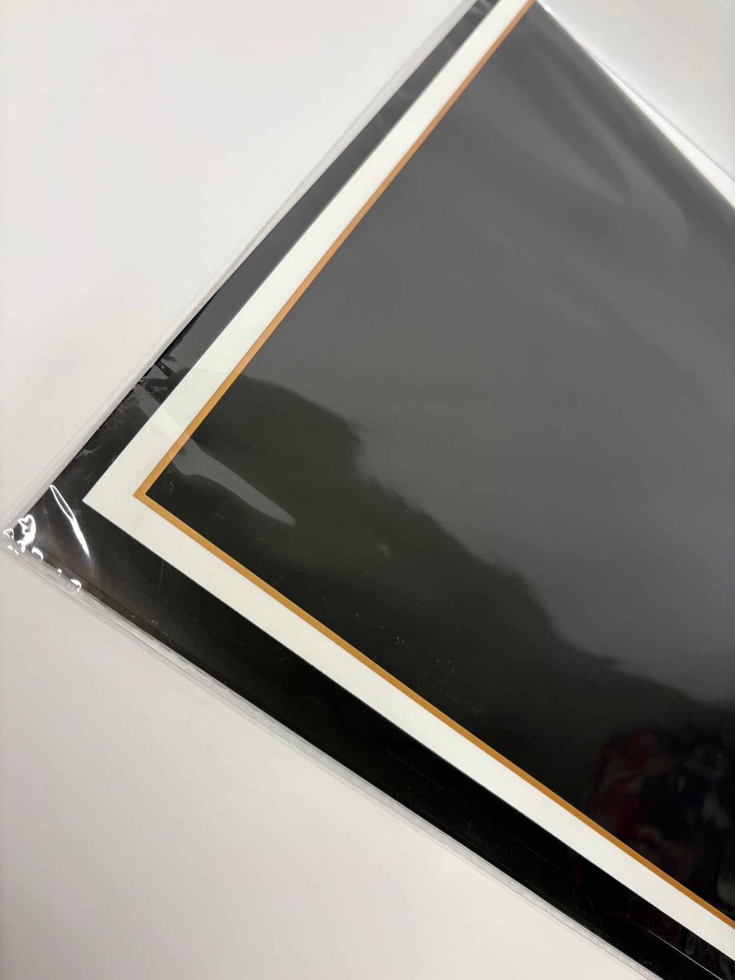 Black with White,Gold Trim Floral Paper