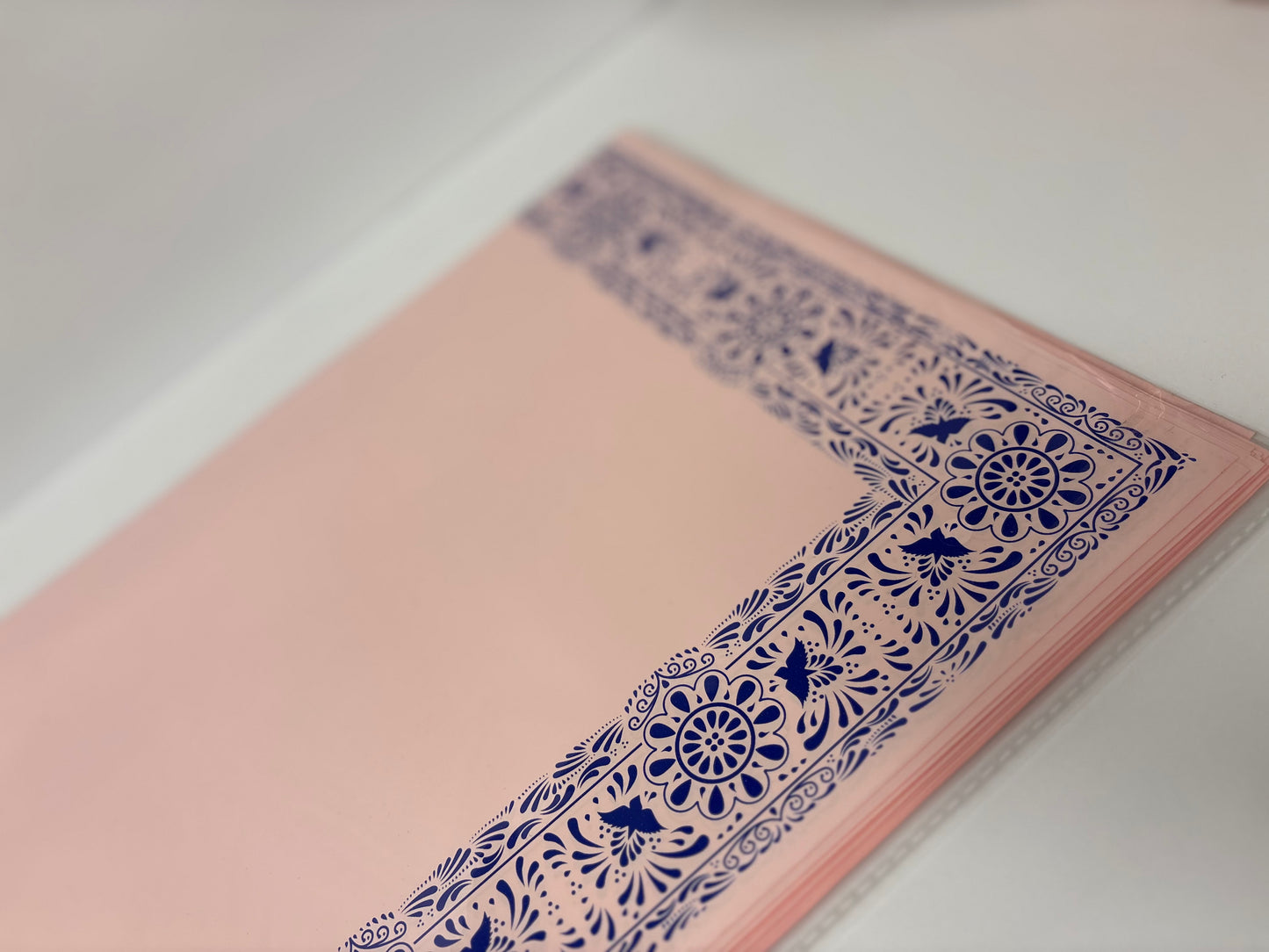 Pink W Blue Design Frame Floral Paper